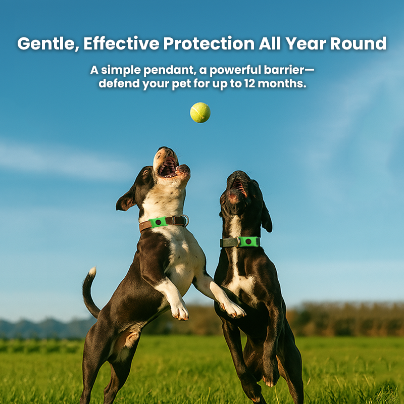 Natural Flea & Tick Tags For Dogs